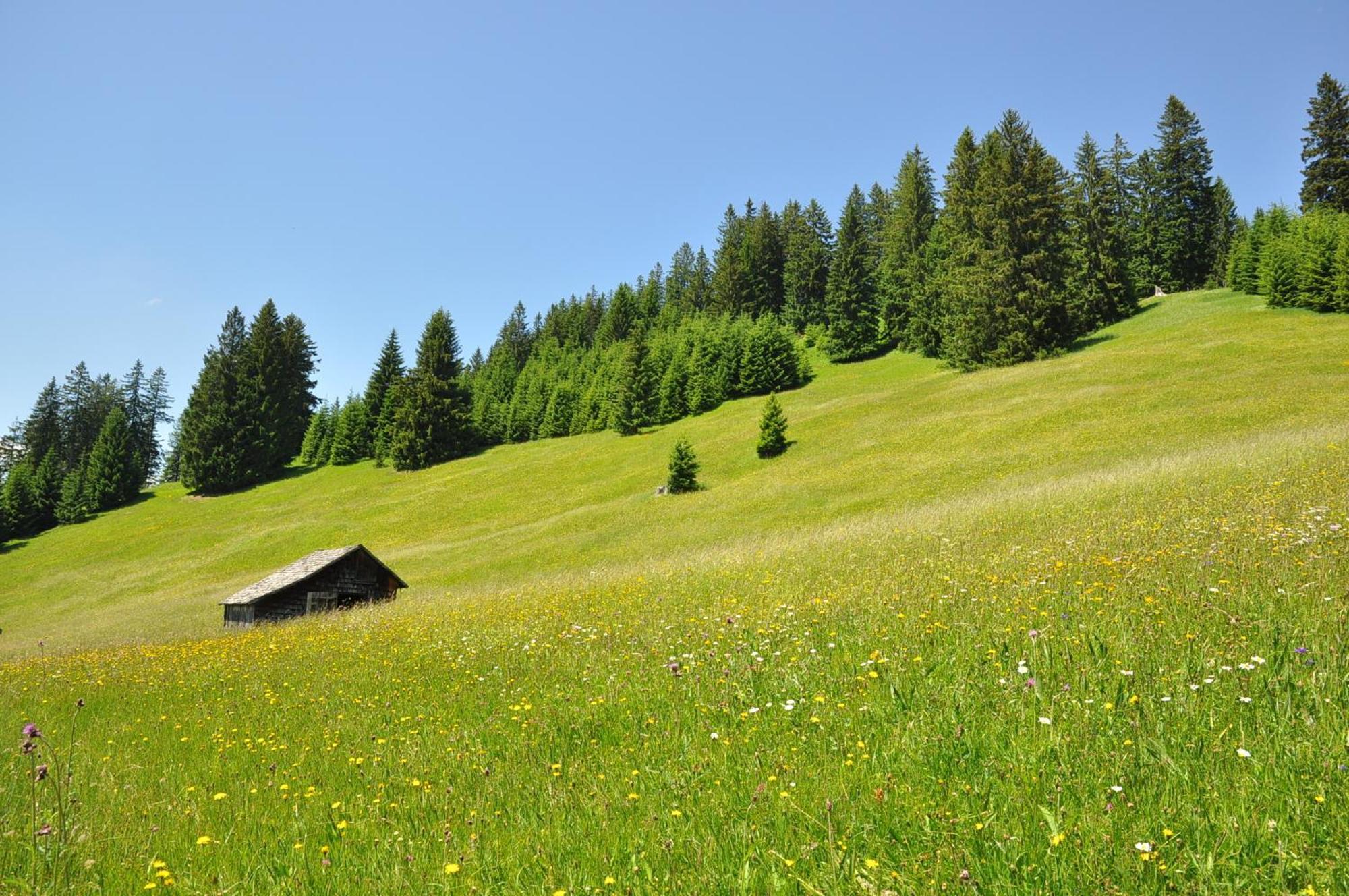 Landhaus Alpensonne Schattwald Ngoại thất bức ảnh